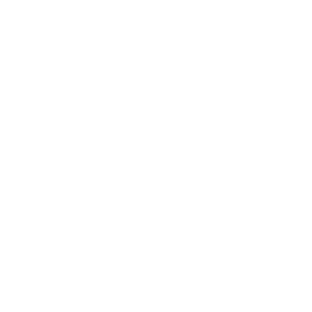 Icono de conexión